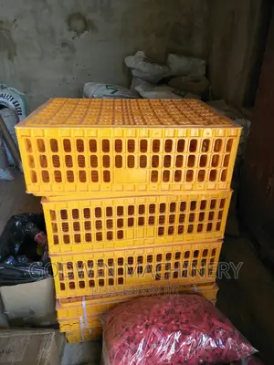 Crates for Transferring Birds