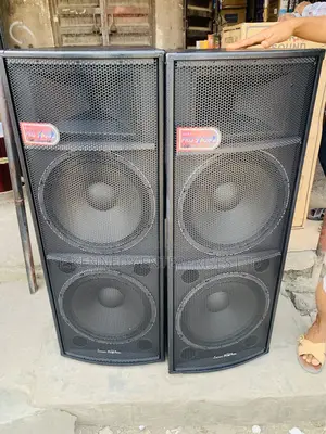 Professional 15” Double Foreign Speaker