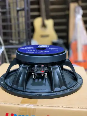 Professional 12” Inches Naked Speaker