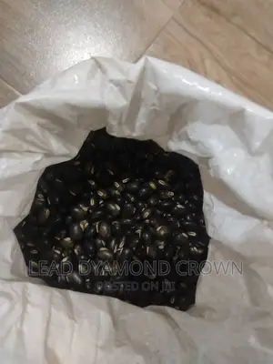 Mucuna Seeds