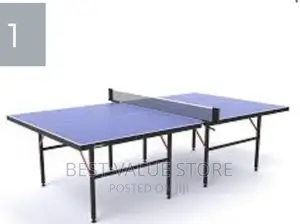 Indoor Table Tennis Board Indoor