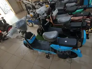 Lions Ebikes Scutter
