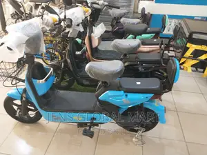 Lions Ebikes Scutter