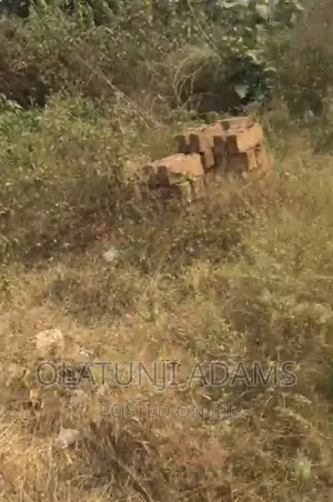 Acres of Land at Papanla Area After Alatorin