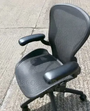 Office Chair {Hamillar}
