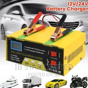 Free Delivery Natuonwide Automatic Car Battery 24V Charger