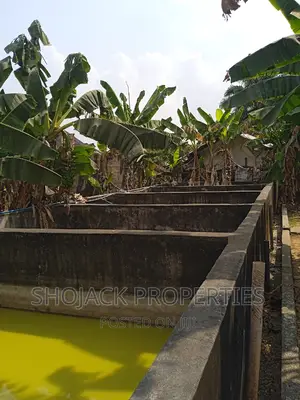Fish Farm for Lease, Igbo Etche