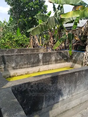 Fish Farm for Lease, Igbo Etche
