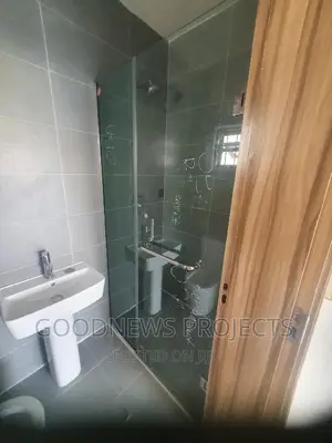 Shower Hinge Glass