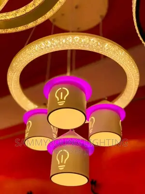 Quality Modern Ceiling Mounted LED Pendant Chandelier Light