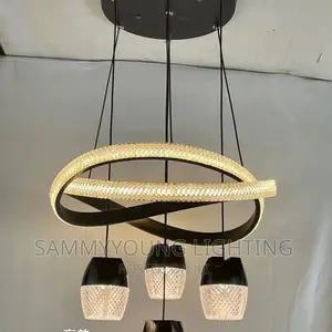 Quality Modern Ceiling Mounted LED Pendant Chandelier Light