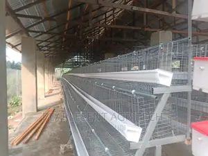 Battery Cages