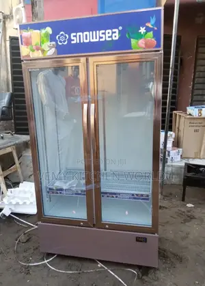 Snowsea 2doors Chiller