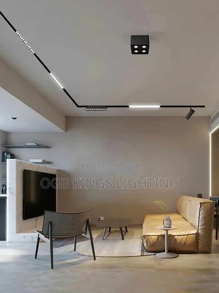 Magnetic Track Light Embedded Led Spotlight Downlight