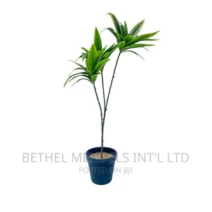 Artificial Plants | Mini Potted Fake Plant for Sale