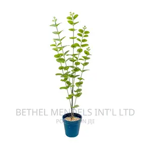 Artificial Flowers/Plants | Sales Quality Mini Fake Plants