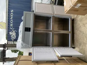 4door Industrial Freezer