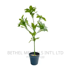 Artificial Plants/Flowers | Mini Potted Houseplants for Sale