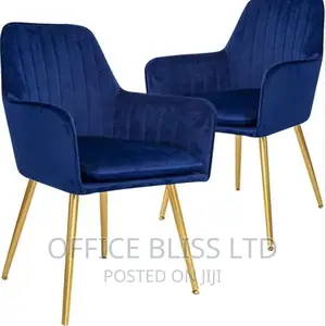 Luxury Bedroom Chairs - Set of 2