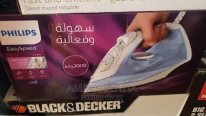 Electric Steam Iron