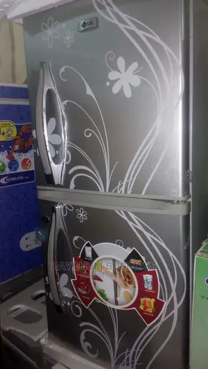 Lg Double Door Durable Refrigerator