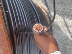 240mm Single Flexible Wire