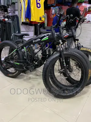 Fat Tyre Bike (Prolife) 58agy