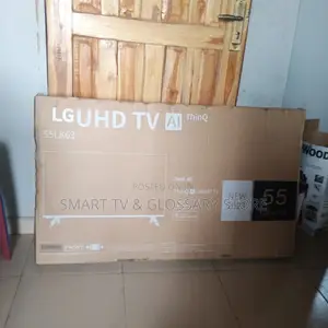 LG 55iches Enable Apple Homekit
