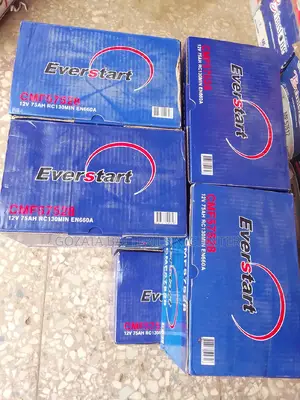 Everstart 75AH Car Battery Made in Korea