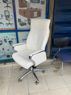 Executive Imported Quality Director Office Chair