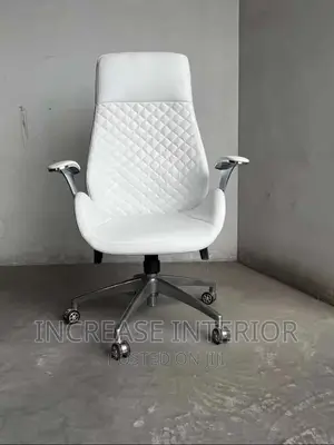 Executive Imported Director Office Chair.