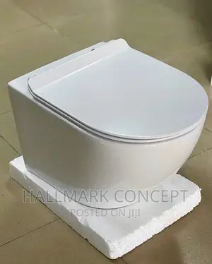 Executive Concealed Cistern
