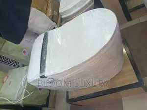 Sensor Smart Toilet