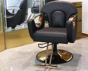 New Modern Luxury Saloon Chairs