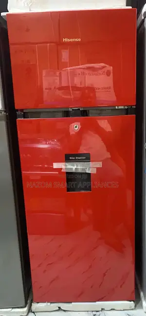 Hisense Fridge and Freezer With Water Dispenser