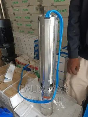 Franklin Germany Solar Submersible Water Pump