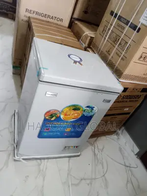 ENERGY SAVING Polystar Pv-Cf197bl Chest Freezer-100liters