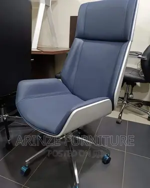 Executive Fashion Chair