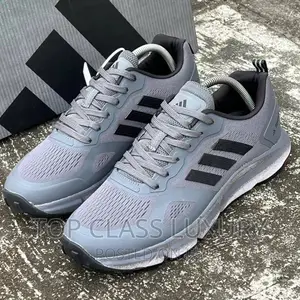 Original Adidas Terrex Grey/Black Men Women Sneakers