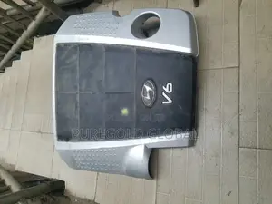 Hyundai Genesis 2010 Engine Cover