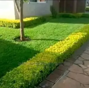 Garden Design