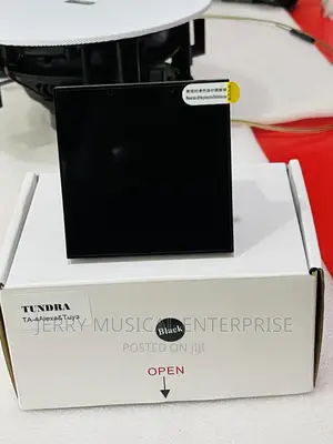 Tuya/Alexa 4inches in Wall Amplifier Black