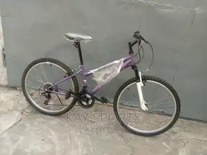 Twilight Sport Bicycle