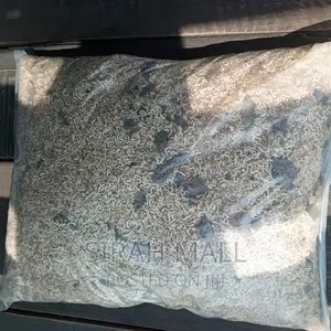 Dog Food Available for Sale