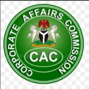 Corporate Affairs Commission (Cac) Annual Return