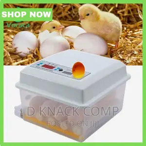 AC and 12v 16 Egg Incubator, Poultry Brooder Machine