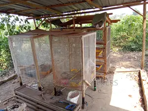 Construction of Black Soldier Fly Love Net