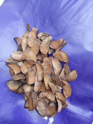 Dried Avocado Seeds - 100g