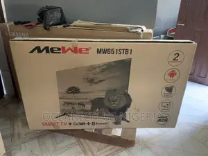 A Fast and Smart Choice: Mewe 65'' Smart Tv