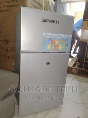 Low Noise Silver Colour Skyrun Refrigerator BCD 85hc